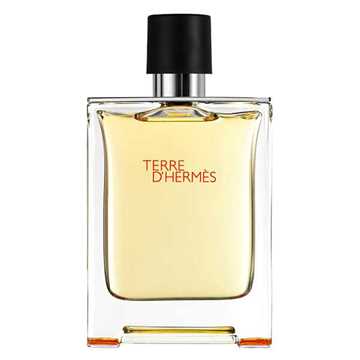 Hermes Terre d'Hermes Eau de Toilette 100ML